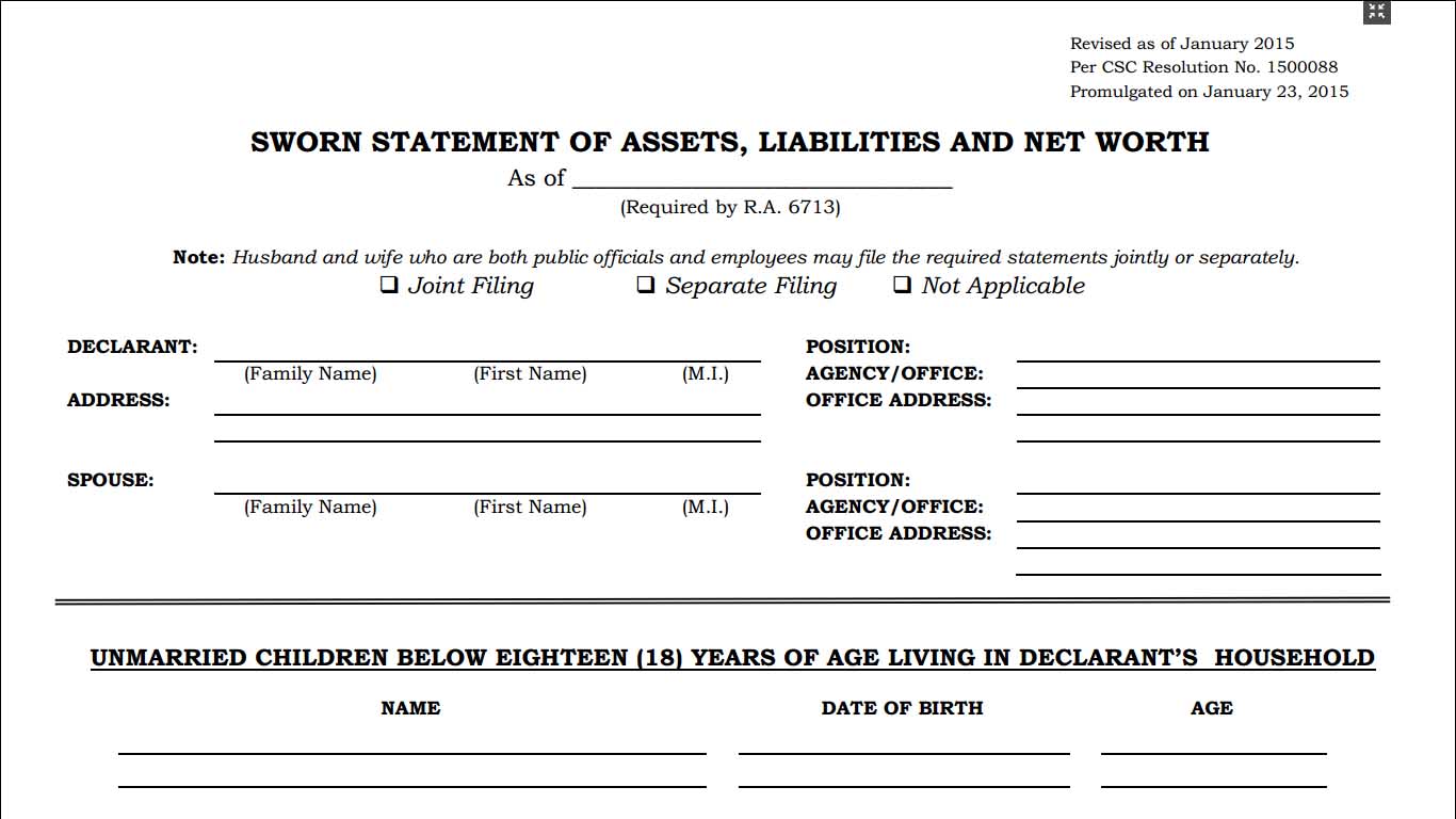 statement of assets liabilities and net worth saln form explain the balance sheet equation example owners equity