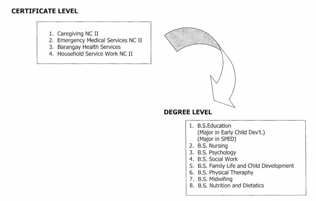 Health Care and Support Services Certificate Level