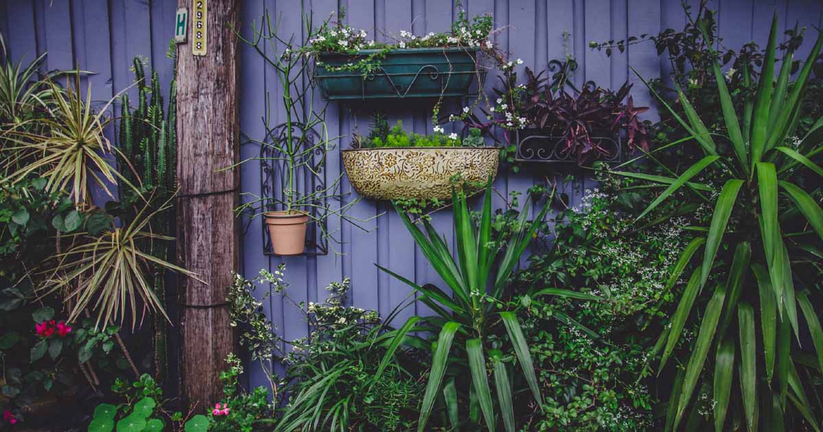 DepEd School Inside a Garden (SIGA) Program