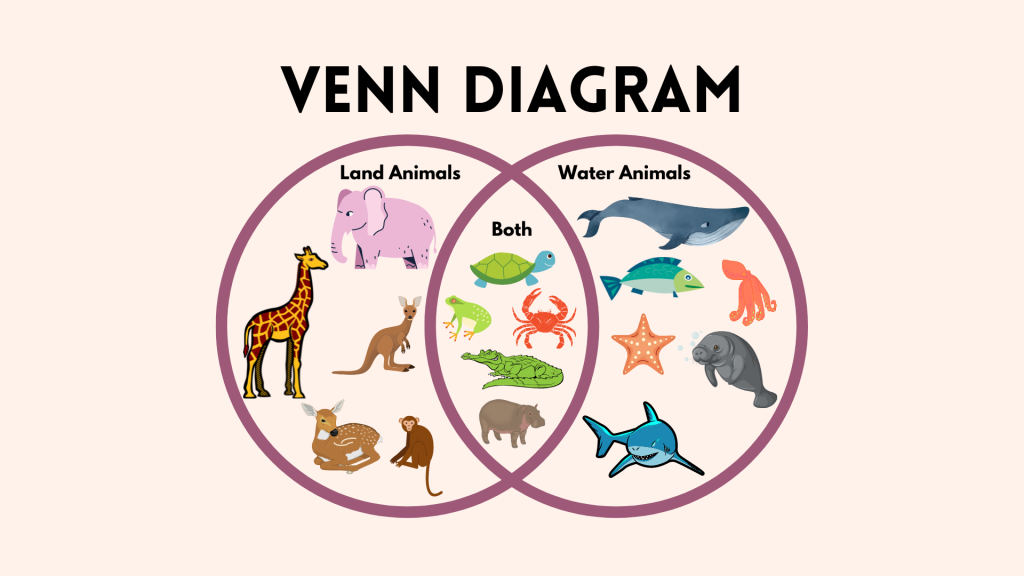 Graphic Organizer Venn Diagram